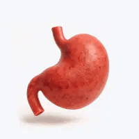 Improves Digestion